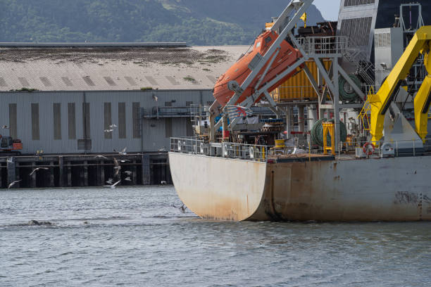 istock Seabirds diving for fish churned up to the surface by a ship 1251394175
