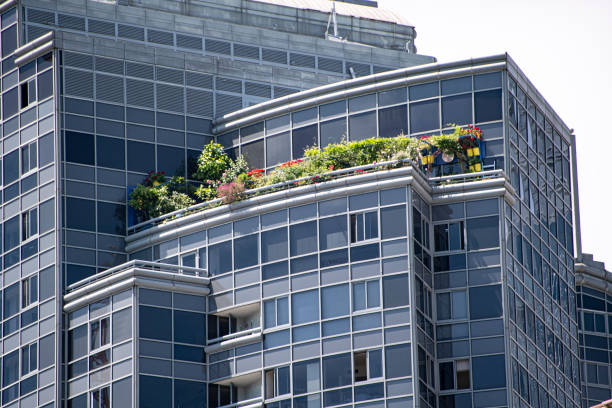Garden on roof of building