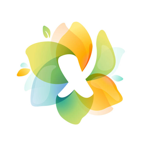 x логотип буквы на красочный цветок акварели. - fruit vector typescript illustration and painting stock illustrations