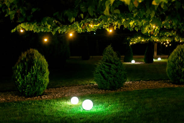istock illumination backyard light garden with electric ground sphere lantern with stone mulch and thuja bush in outdoor landscaping park with garland of warm light bulbs, dark illuminate night scene nobody. 1251400808