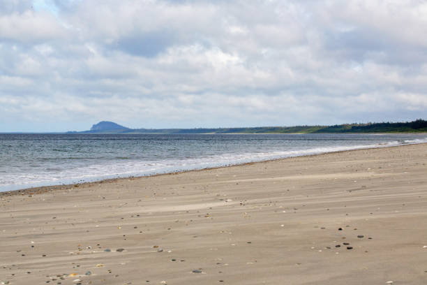 istock Sandy Coastline, Haida Gwaii 1251403181