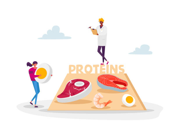 ilustrações, clipart, desenhos animados e ícones de caráter traga produtos proteicos para dieta keto. nutricionista médico em manto branco segurando notas de escrita de prancheta. dietologia ciência, conceito de nutrição saudável. ilustração vetorial do cartoon people - dietology