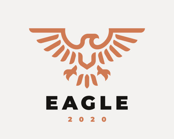 линейный логотип орла. hawk геральдический дизайн эмблемы редактируется для вашего бизнеса. векторная иллюстрация. - eagles stock illustrations
