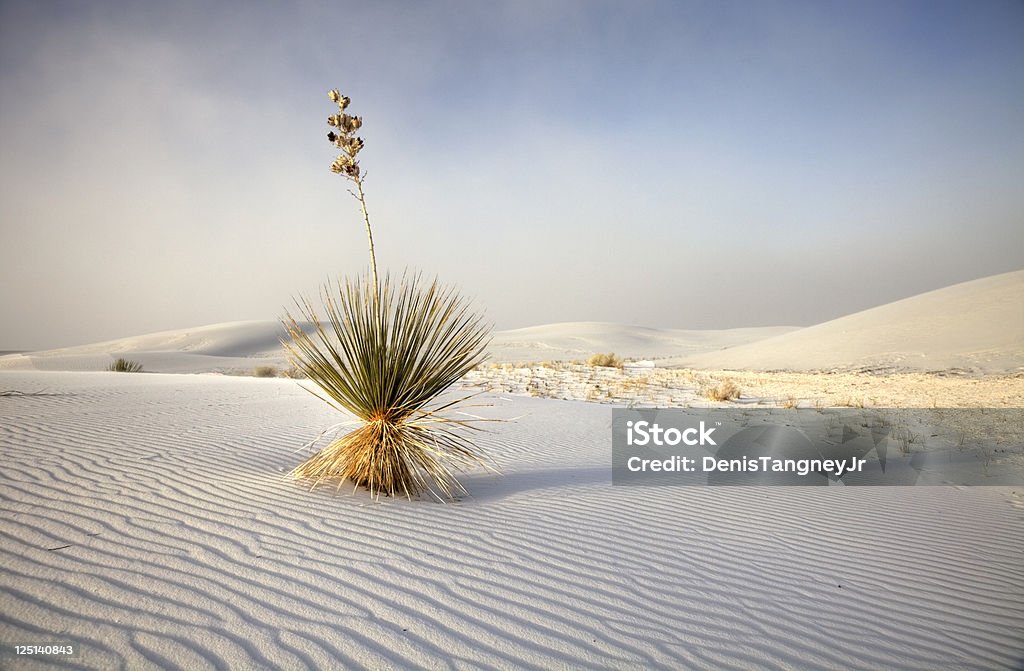 Monumento nacional de White Sands de Nuevo México - Foto de stock de Nuevo México libre de derechos