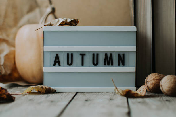 istock White lightbox. Classic banner for your projects or advertising. White lightbox on the wooden table with autumn background. 1251408912