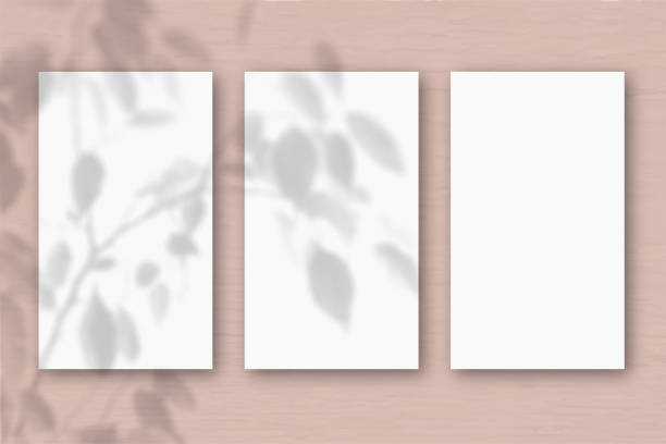 istock 3 vertical sheets of textured white paper on soft peach table background. Mockup overlay with the plant shadows. Natural light casts shadows from an exotic plant. Horizontal orientation 1251409894