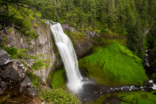 istock Salt Creek Falls in Oregon 1251410129