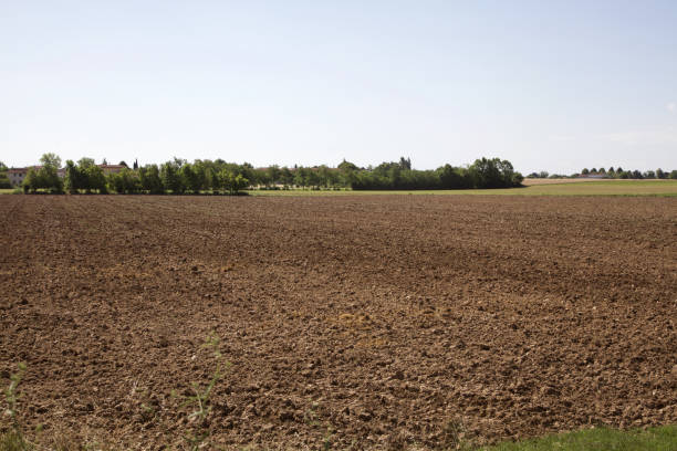 istock A ploughed field in the countryside in summer 1251410770