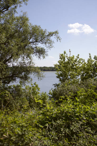 istock A river seen through the foliage of the trees 1251410787