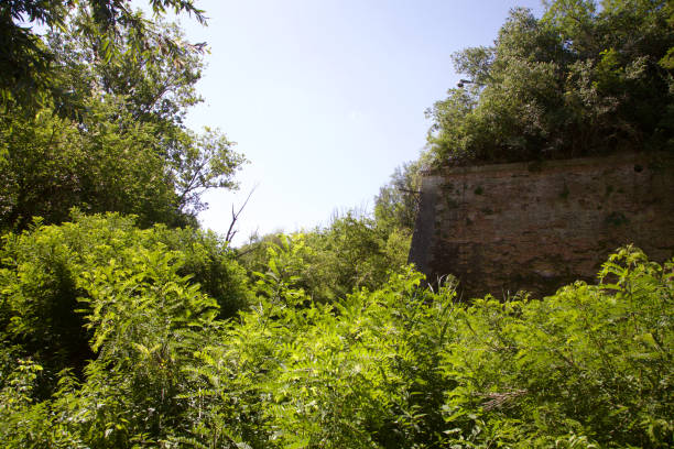 istock A brick wall of a fortification, surrounded by trees, in a swamp 1251411767