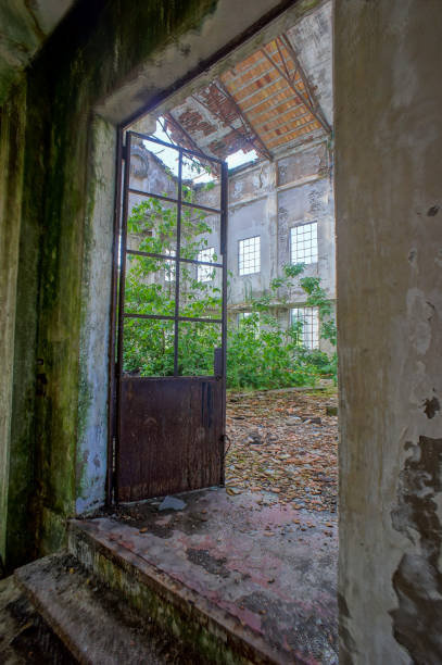 istock Abandoned Old Ruined Industrial Plant 1251415031
