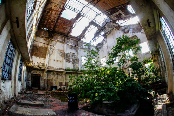 istock Abandoned Old Ruined Industrial Plant 1251415035