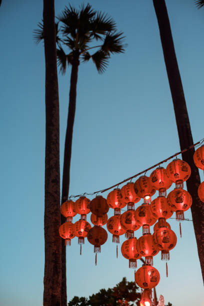 istock Bright Chinese lanterns on palm trees against the evening sky. 1251415218