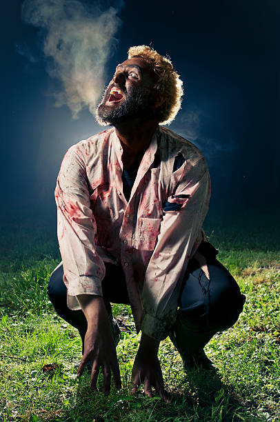 Wolfman Howling At The Moon stock photo