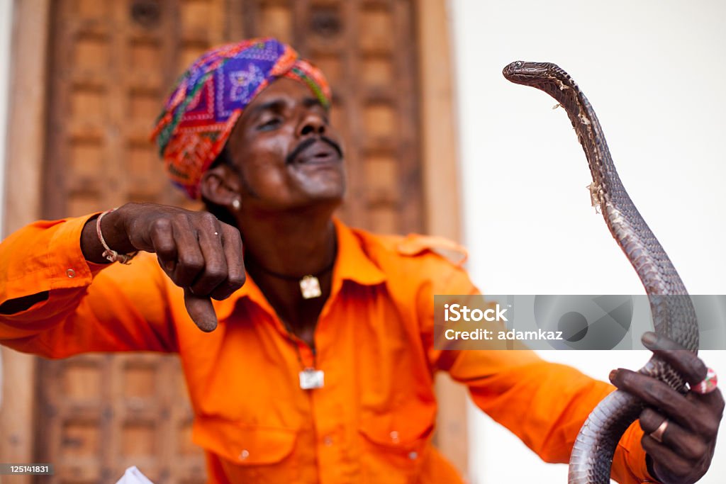 Indian Schlangenbeschwörer - Lizenzfrei Schlange - Kriechtier Stock-Foto