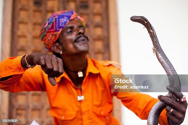 Indian Schlangenbeschwörer Stockfoto und mehr Bilder von Schlange - Kriechtier - Schlange - Kriechtier, Charmant, Aufführung