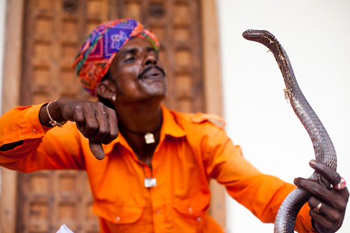 Closeup image of snake charmer in Pushkar, Rajasthan, India, working with snake.http://refer.istockphoto.com/traffic_record.php?lc=056905042431004653&atid=6683%7CBannerID%3D6683%7CReferralMethod%3DLink