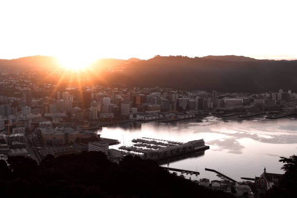 istock Wellington city and harbour at sunset 1251418320