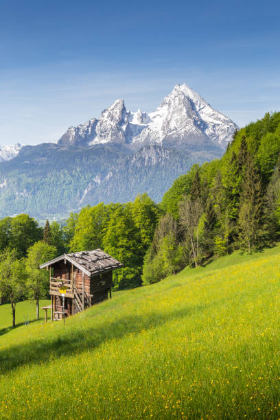 sommerberglandschaft in den alpen mit blühenden wiesen und traditioneller berghütte - berchtesgaden stock-fotos und bilder