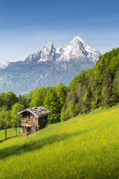 Beautiful view of idyllic mountain scenery in the Alps with traditional mountain chalet and fresh green mountain pastures with blooming flowers on a sunny day with blue sky and clouds in summer