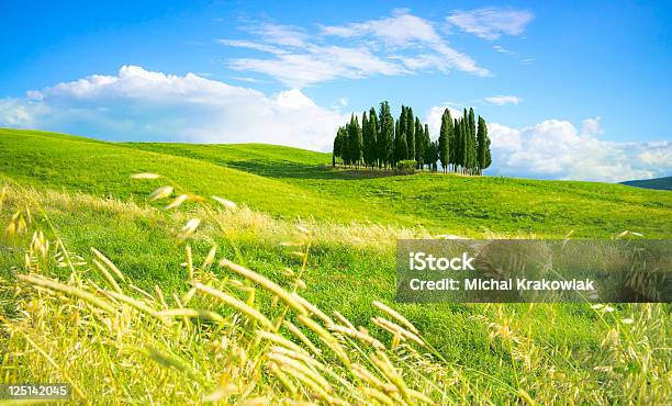 Foto de Paisagem Toscana Com Grupo De Ciprestestoscana Itália e mais fotos de stock de Colina
