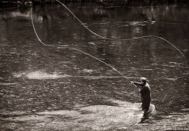 Fly Fishing - Casting Motion blur on the fishing line as a man casts on the River Spey in Scotland.  Gently toned monochrome image. fly fishing scotland stock pictures, royalty-free photos & images