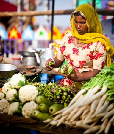 Portrait of an Indian woman vendor at Pushkar Camel Fair, selling produce