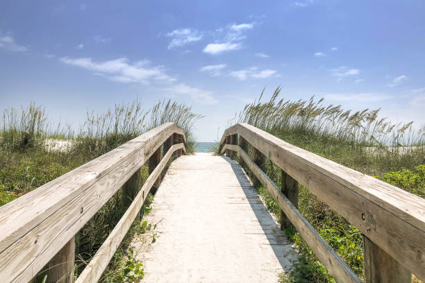 lungomare boardwalk - sand beach sand dune sea oat grass foto e immagini stock