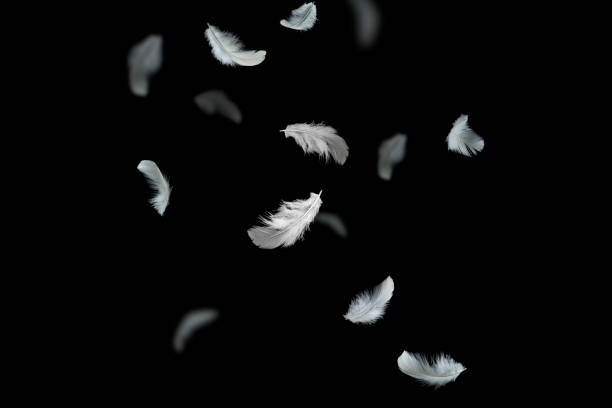 istock Light fluffy a white feathers falling down in the air. black or dark background 1251424872