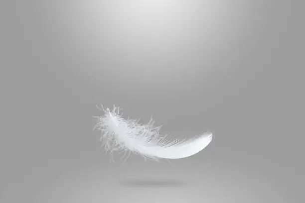 Light fluffy white feather falling down in the air. soft single feather abstract background