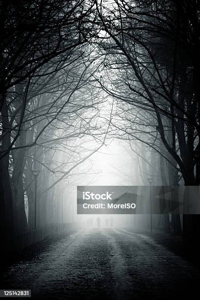 Strada Di Campagna Alberi Nella Nebbia Nessuno - Fotografie stock e altre immagini di Spettrale - Spettrale, Bianco e nero, Albero