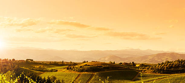 région de chianti hills au coucher du soleil en toscane, italie - montalcino photos et images de collection