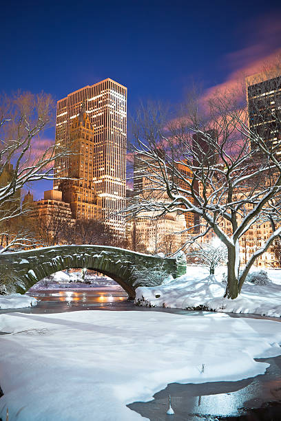 ponte di gapstow, a new york city - new york city new york state skyline winter foto e immagini stock