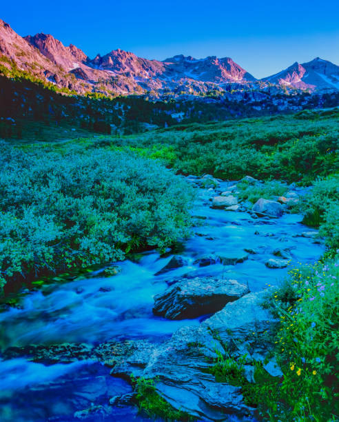 Dusk light warms the peaks of Ruby Mountain Scenic Area as cascading waters of a stream flow through the brush covered shores. Located near Elko, Nevada, USA