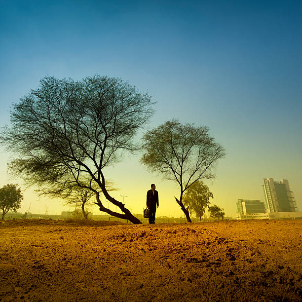 In morning landscape a businessman is standing alone between trees on earthy ground at dawn, he is holding a laptop bag and looking away. 