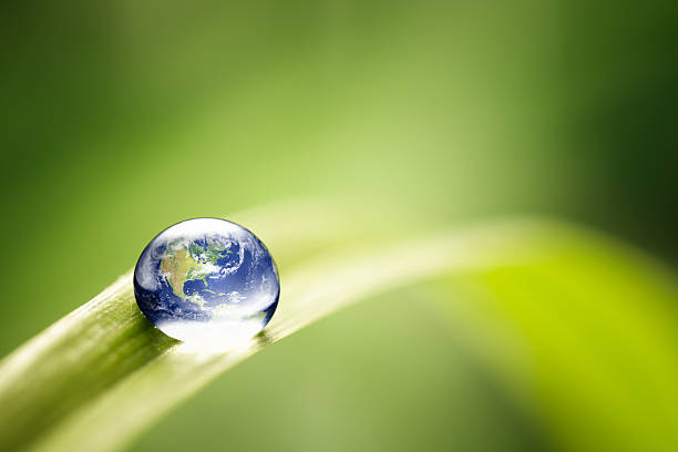 mundo en una gota de agua verde de naturaleza y medio ambiente de la tierra - hierba planta fotos fotografías e imágenes de stock