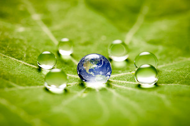 die welt in einen tropfen makro - water drop leaf earth stock-fotos und bilder