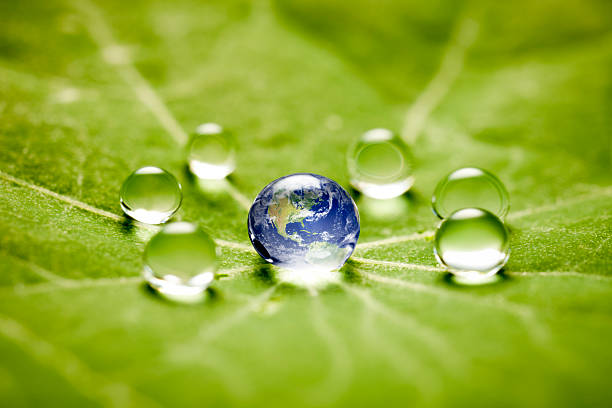 전세계에 낙차 접사를 - water drop leaf earth 뉴스 사진 이미지