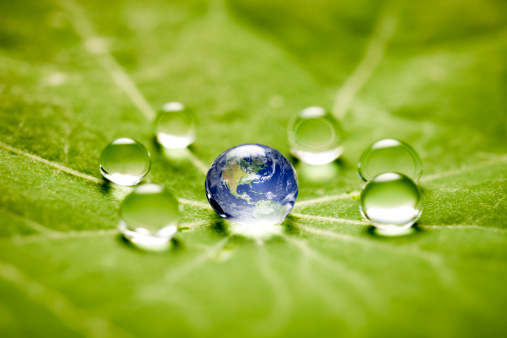 Macro 3X of the world globe in a drop on a green leaf. Tiny depth of field!