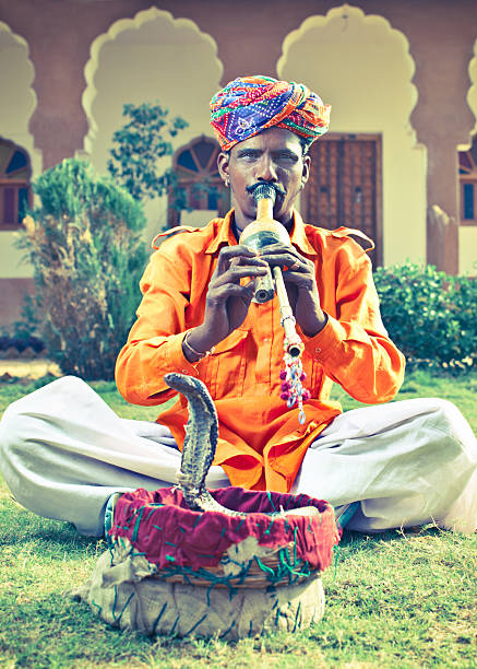 Indian snake charmer Portrait of an Indian snake charmer performing with his cobra. snake hood stock pictures, royalty-free photos & images