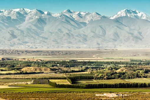 View of Uco valley at foot of The Andes. Tupungato, Mendoza, Argentina.