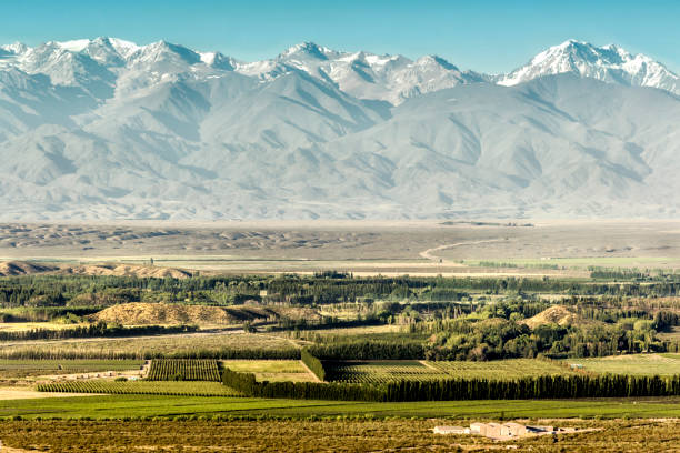 vinhedos no vale do uco, tupungato, mendoza, argentina. - valley - fotografias e filmes do acervo