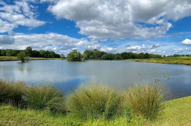 The panoramic view of Pen pond, Richmond park, London Richmond Park, in the London Borough of Richmond upon Thames, was created by Charles I in the 17th century, the largest of London's Royal Parks. richmond park stock pictures, royalty-free photos & images