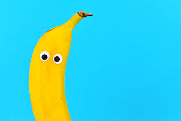 istock Banana fruit with funny googly eyes on bright bue background with copy space 1251450918