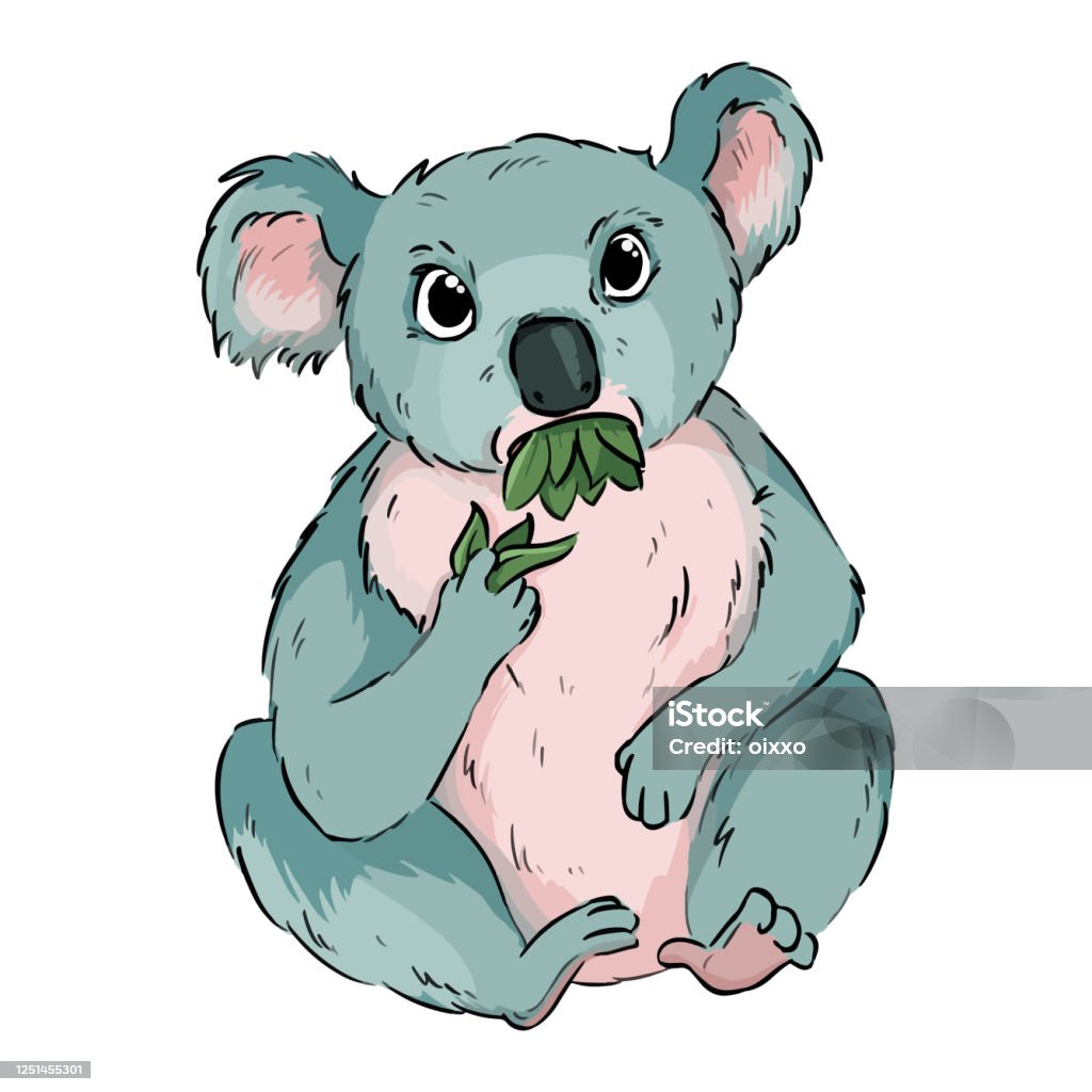 Koala Eating Eucalyptus Cartoon Doodle Cute Koala Animal Chewing Leaves  Comic Style Drawing For Children Vector Stock Image Stock Illustration -  Download Image Now - iStock