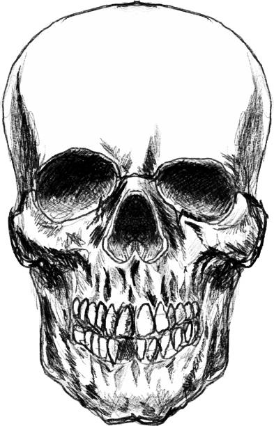 istock Illustration of scary skull. Design element for poster, card, banner, t shirt. Vector illustration 1251455309