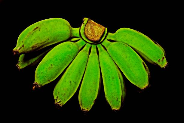 Green banana - black background.