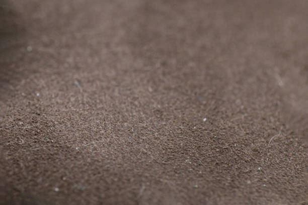 istock Close-up photograph of brown suede surface, texture 1251459200