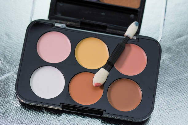 istock Professional pallet of eyeshadow 1251461889