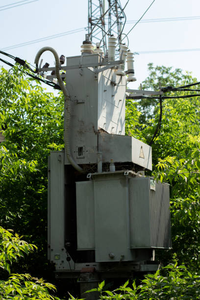 istock electric transformer among trees in a summer 1251462081